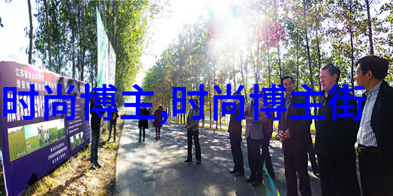 海信空调智能节能的夏日守护者
