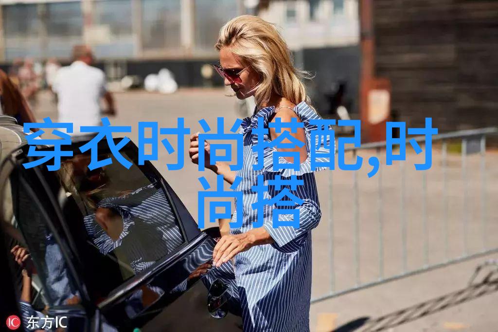 银翼下的守护者赛力斯的传说与传奇