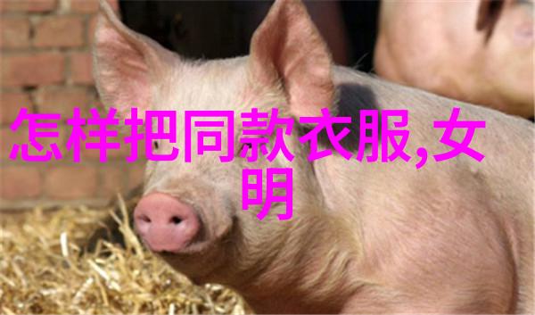 探秘207两厢解析这款轿车的设计理念与用户偏好