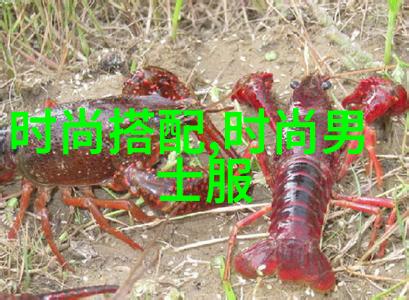 蛇与生的共鸣探索拒生蛋 我的七条蛇相公背后的故事