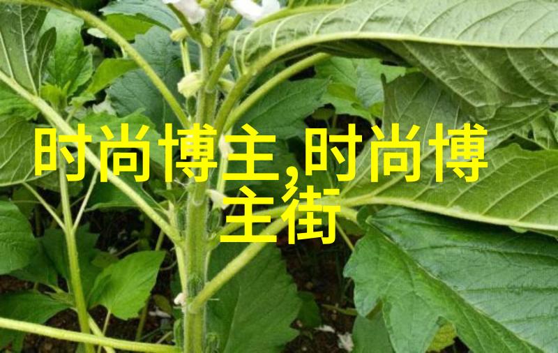 张涵予电影角色塑造多样性的艺术人生