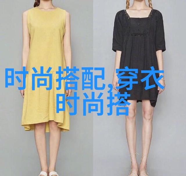 数字的魅力揭秘351背后的故事