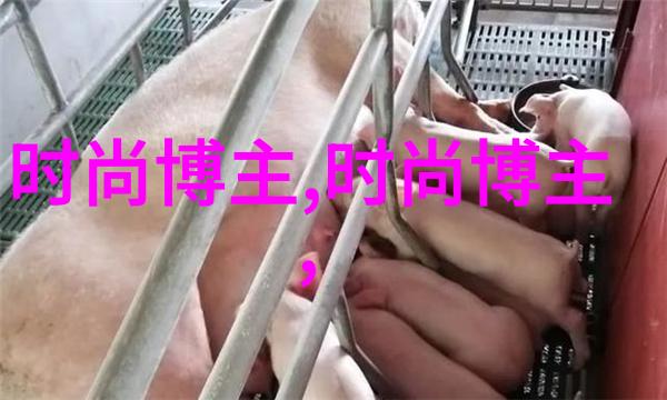 步步惊心小说大结局逆袭之皇帝归来步步惊心的最后章节