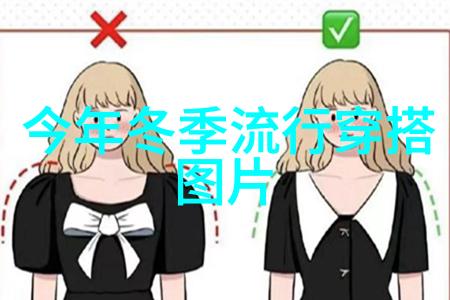 法甲赛程回顾2012赛季的精彩与挑战