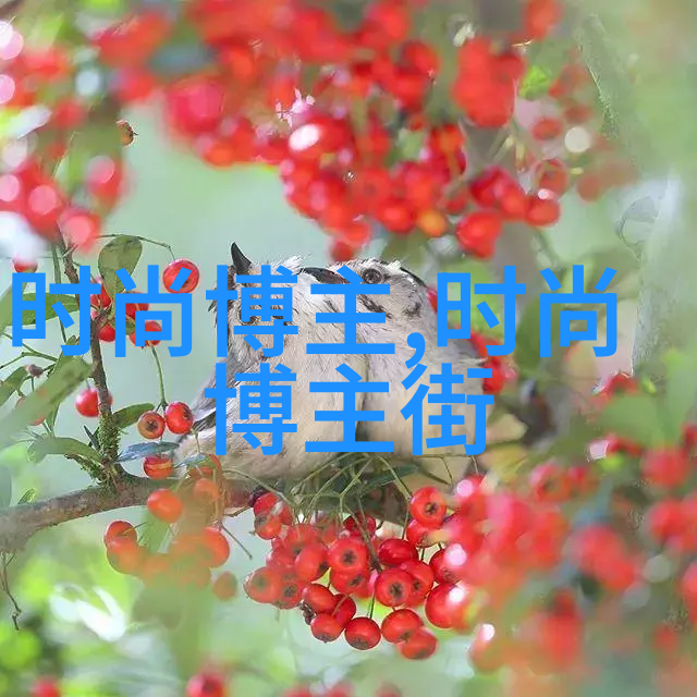 中年男人最具风范的发型选择