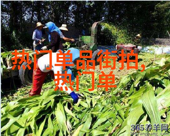 耐克篮球如何让运动员在比赛中发挥出最佳水平