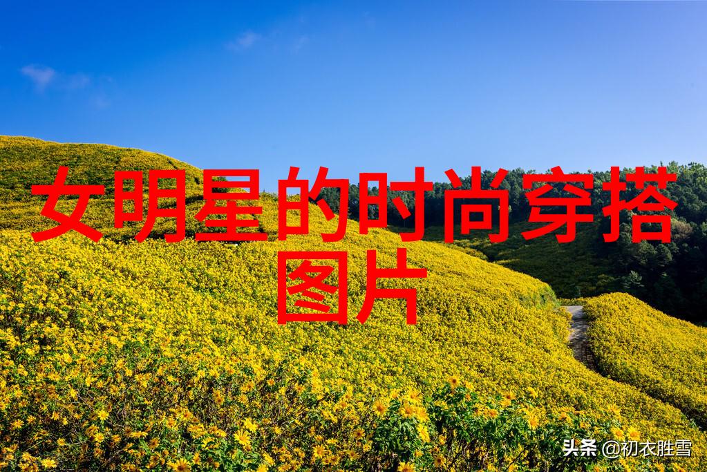 中长发编发图解100种我来教你如何一学就会的美发技巧