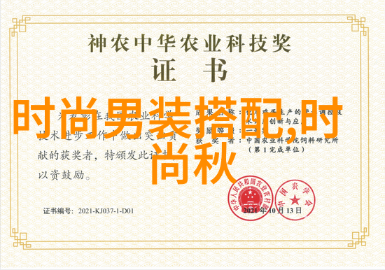 如何成为理发高手初学者的学习指南