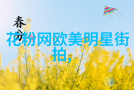 如何用一件T恤成为街头派对的焦点夏日T恤组合技巧分享
