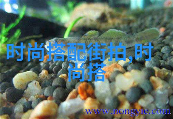 超声边界揭秘25岁以上听不到的声音世界
