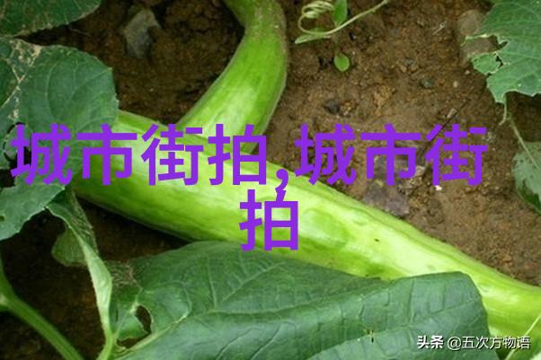 被穿书女配抢走男人后我怎么就这么惨了