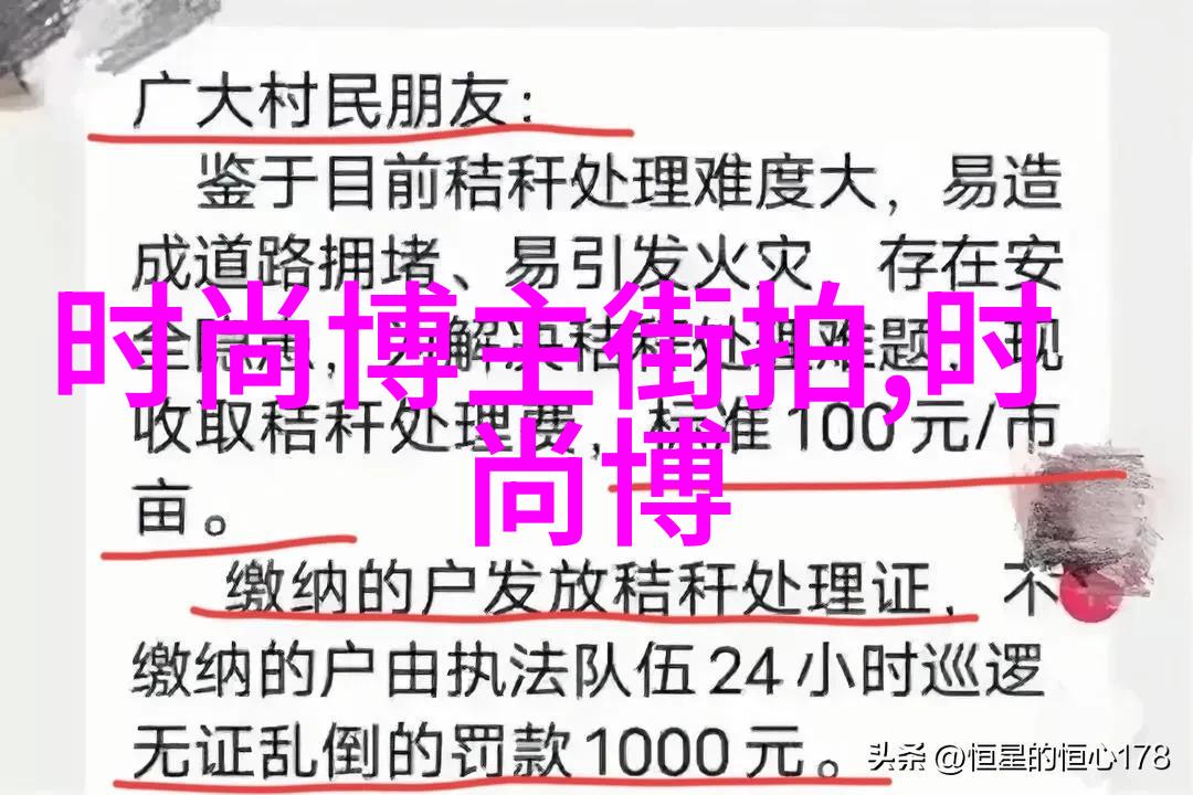 美国ZOOM人狗视频我是如何和我的小可爱在Zoom上表演动物园秀的