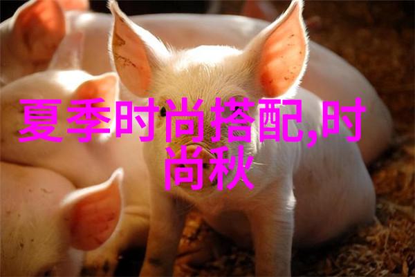 火力先锋20毫米机炮的战场霸主