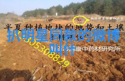 出差旅行2对1双重效益的探索之旅