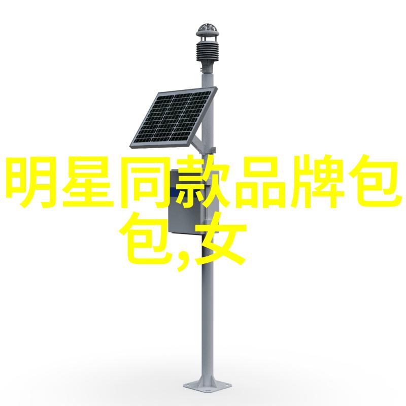 小黄的字多肉奇遇小学生活中的大尺寸挑战