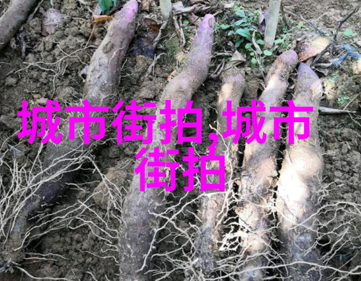 潮流搭配男 - 时尚前沿男士潮流搭配艺术的探索