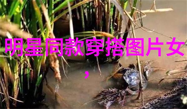 波多野结衣119分钟-沉浸在波多野结衣的悠长时光探索她的每一个微笑与眼神