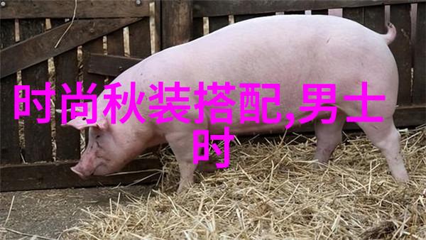 岁月的回声