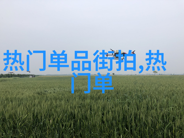 300061解读数字背后的文化与历史价值