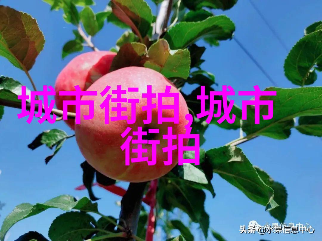 男士时尚品牌-探索顶级男士时尚品牌的魅力与风格