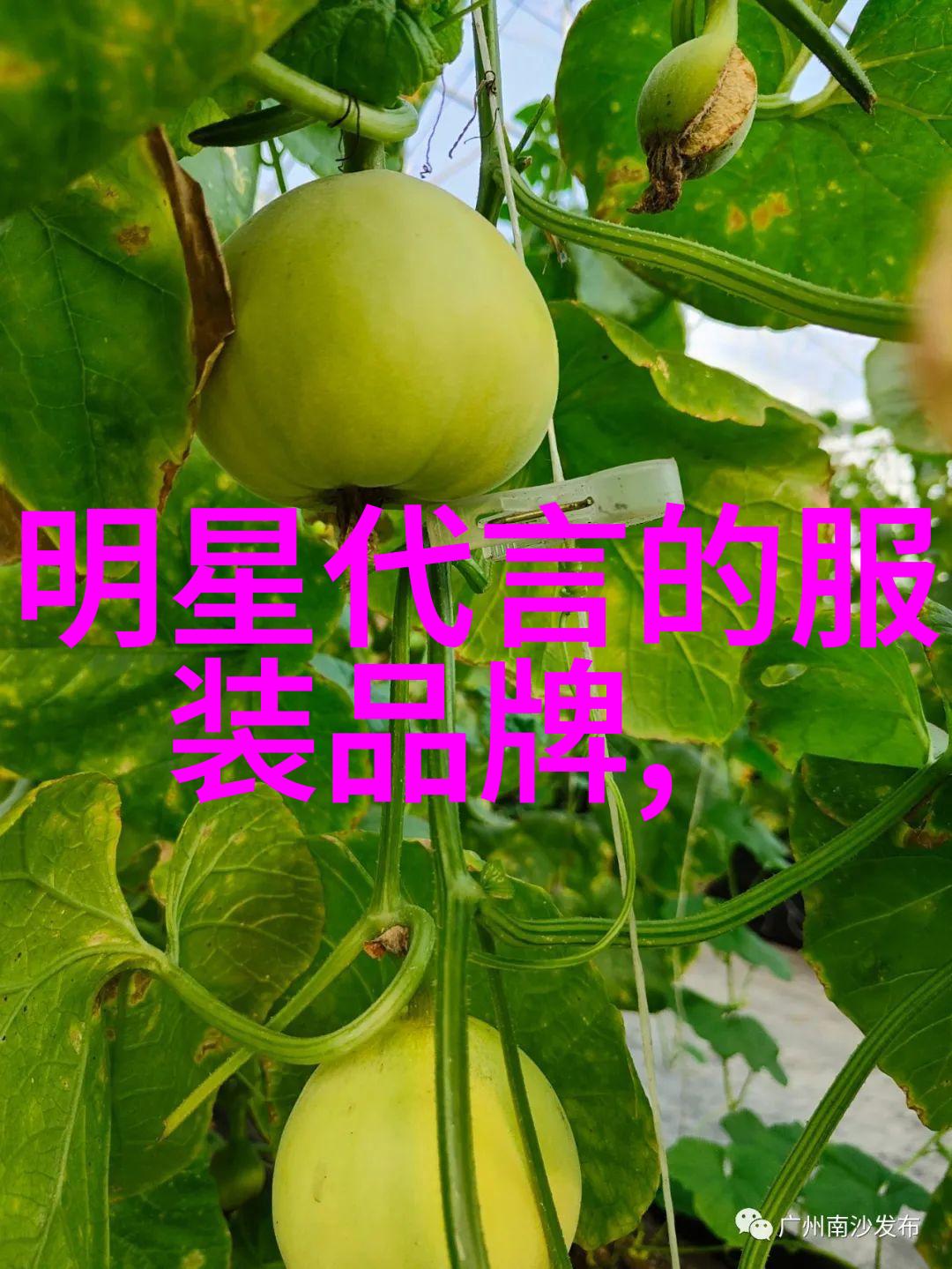 温馨简约内心的宁静在每一张唯美家居图片中绽放