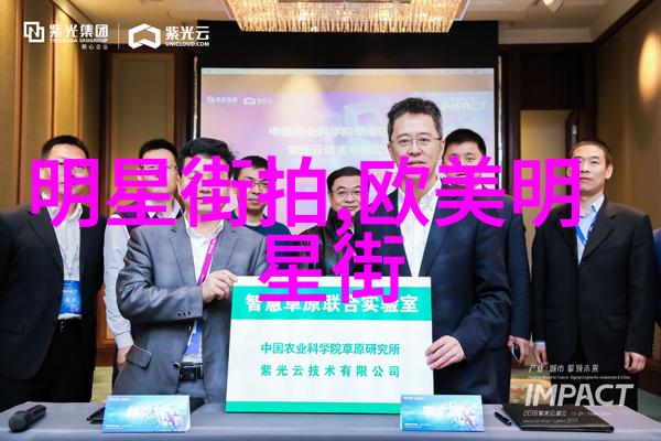 2022世界杯足球的盛宴与国度的梦想