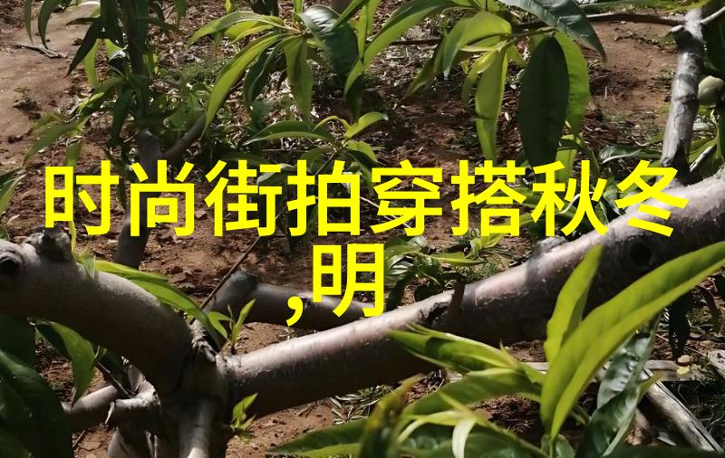 时尚潮流潮男衣橱大揭秘