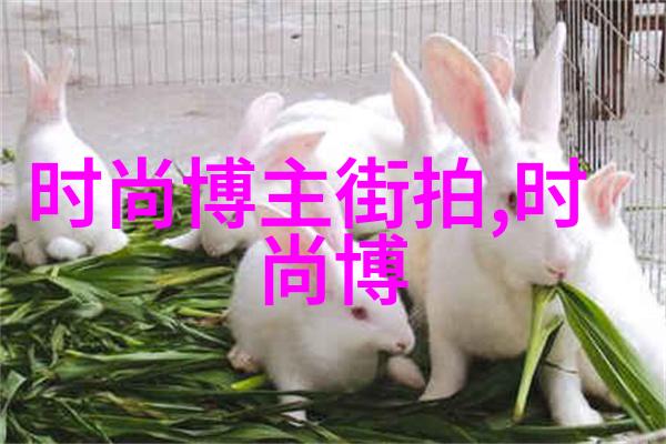 打造精致气质短发为何能让女生看起来更年轻