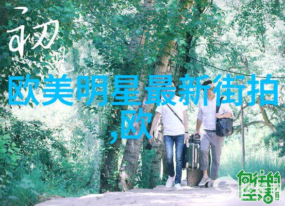 四神集团企业发展与创新实践总结