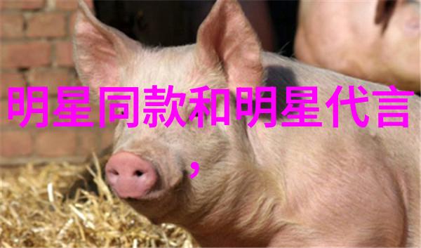 2000年中国春季服装穿搭指南11度时的风格选择
