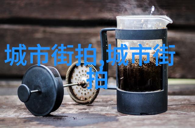 大陆SPEAKINGATHOME在-家国情怀下的语言传承