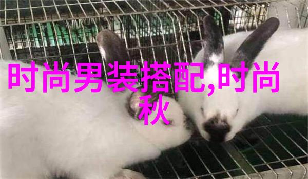 天堂动漫曝先导预告机动战士高达引爆复仇的镇魂曲