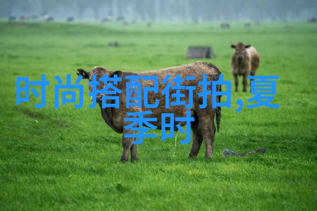 晚礼服的颜色搭配有哪些基本原则