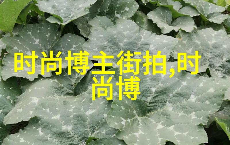 2023年最时尚的发型流行趋势探究