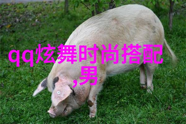 窝窝午夜看片一场轻松愉悦的影视之旅