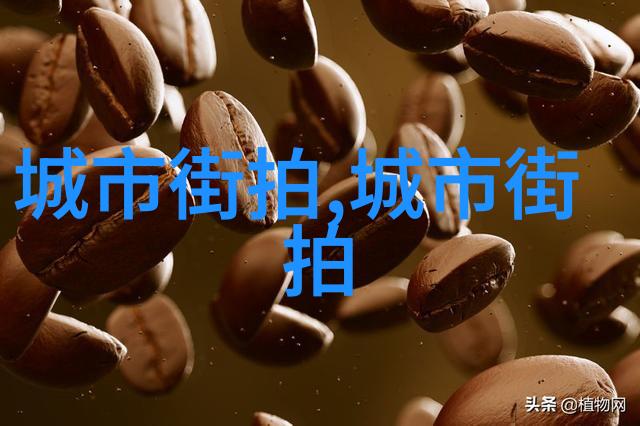 304方管俺的日常战友