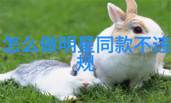 华晨引擎车麦铸就中国汽车电商之冠
