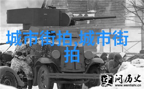 青春校园的秘密使命竹马翻译官的故事