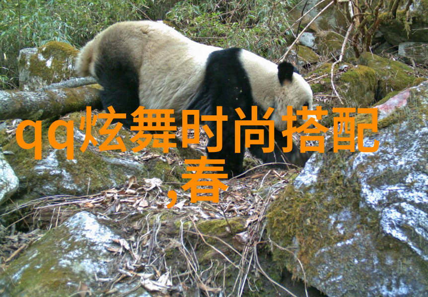 欧美无人区激活码破解技巧全解析