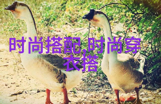 4.5天工作制新时代效率与生活平衡的探索