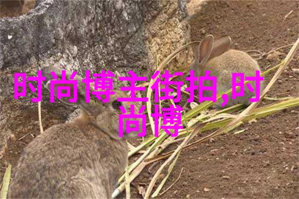 时尚生活-寸头发型图片大全探索简约魅力的多种造型