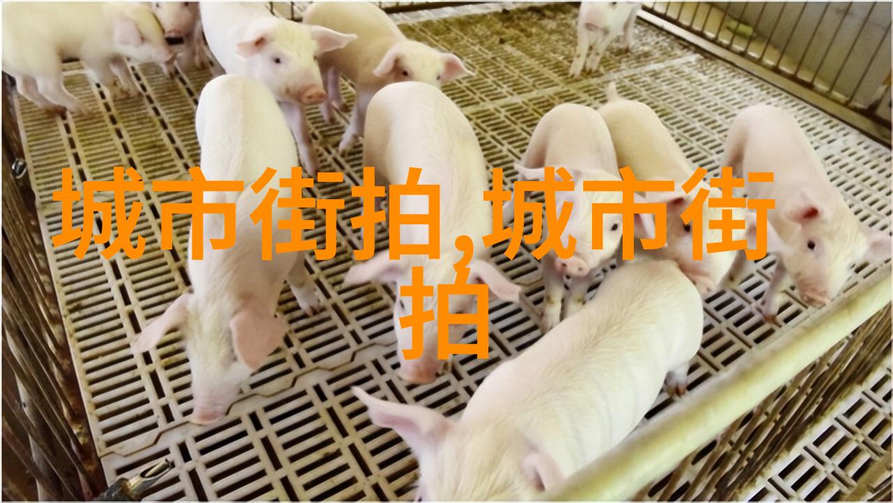 发型设计-驾驭秀发艺术如何精准定制适合自己的发型