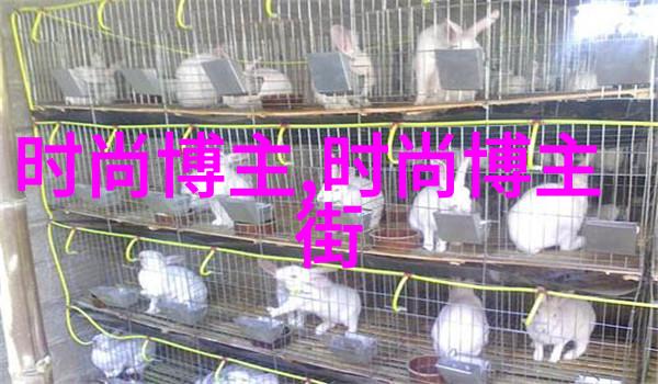 春暖性8-绽放的希望八种色彩八个春天