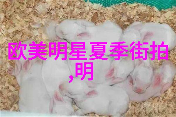 网络世界中的隐形杀手如何识别和防范恶意软件