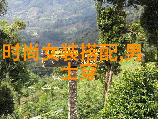 雅喆之魂杨雅喆的抽象艺术之旅