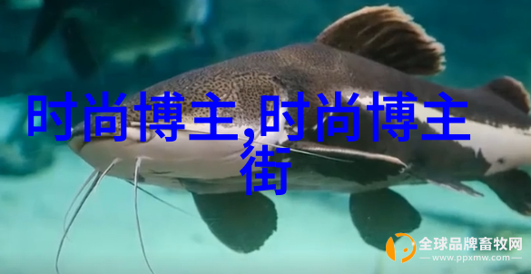 探索4D电影院沉浸式视听体验的未来