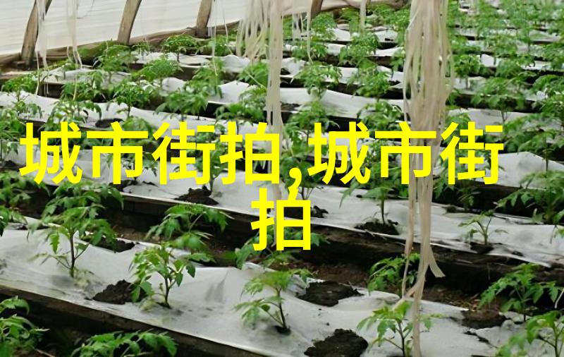 美发烫染理论知识大全揭秘究竟是什么让我们的发丝在颜色和质感上焕然一新