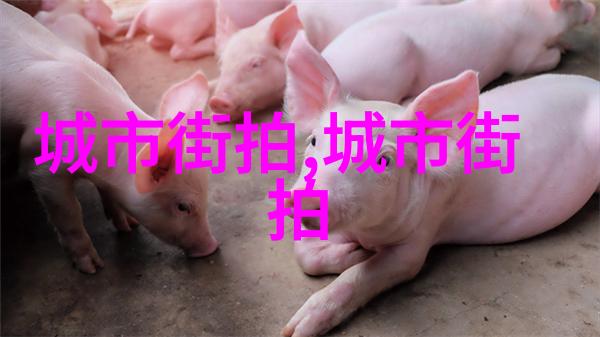 人鲁交YAZHONGHUCXX年轻有才的华语音乐创作交流