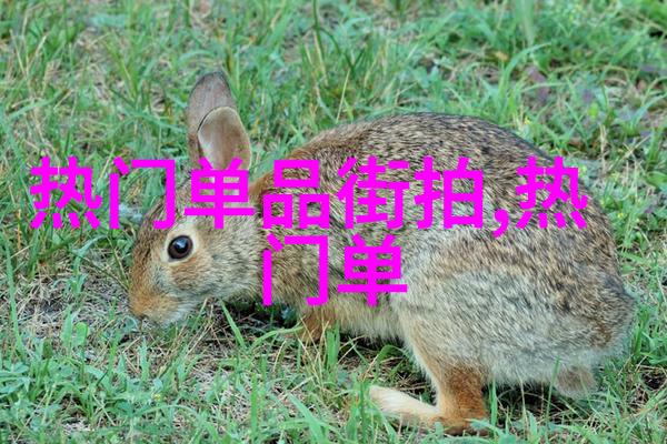 坐公交车的陌生人之旅最后一排的独特体验