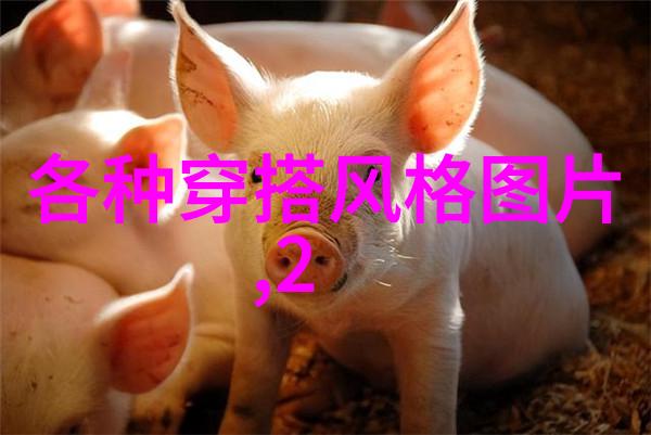 男装时尚穿搭 - 街头酷帅男士时尚穿搭技巧解析